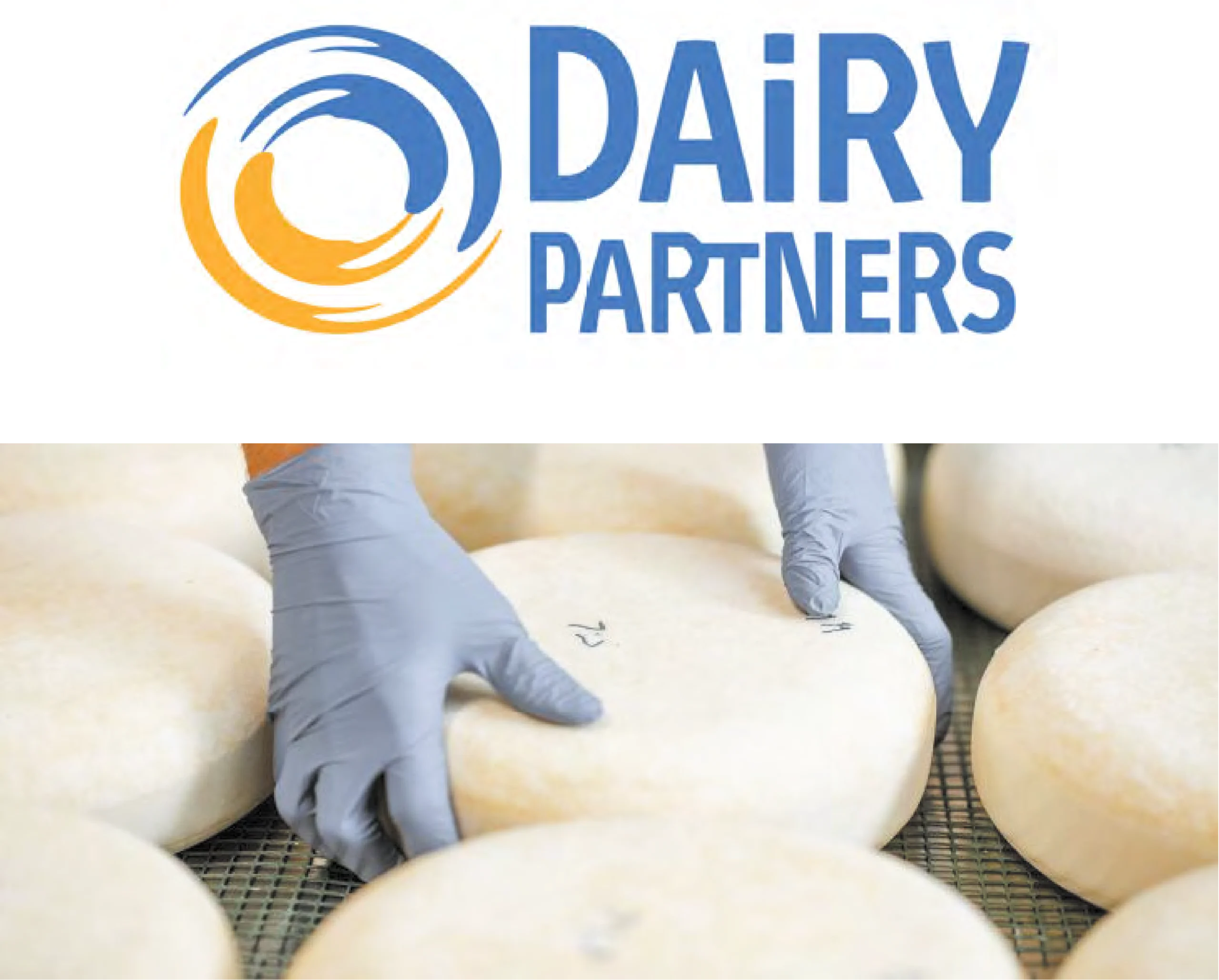Dairyp Img
