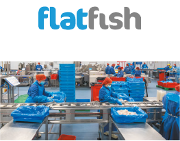 Flatfish Img